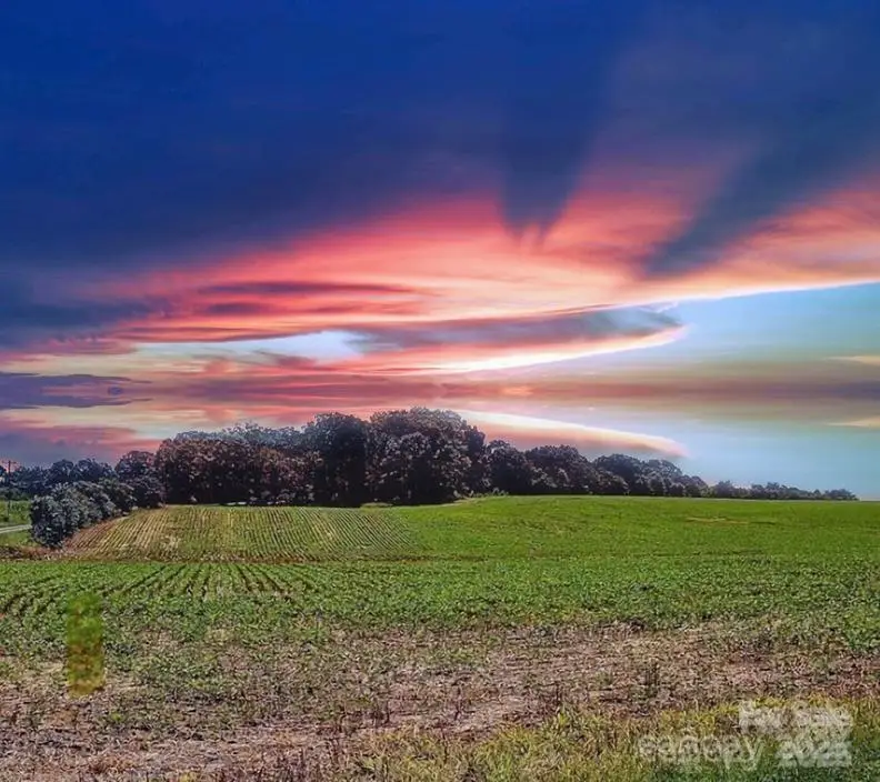 1490 Pork Road, Peachland, NC 28133 - Image #1