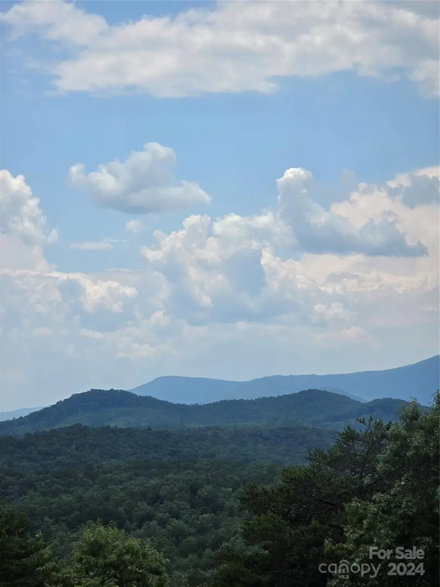 290 Boland Drive, Lake Lure, NC 28746 - Image #2