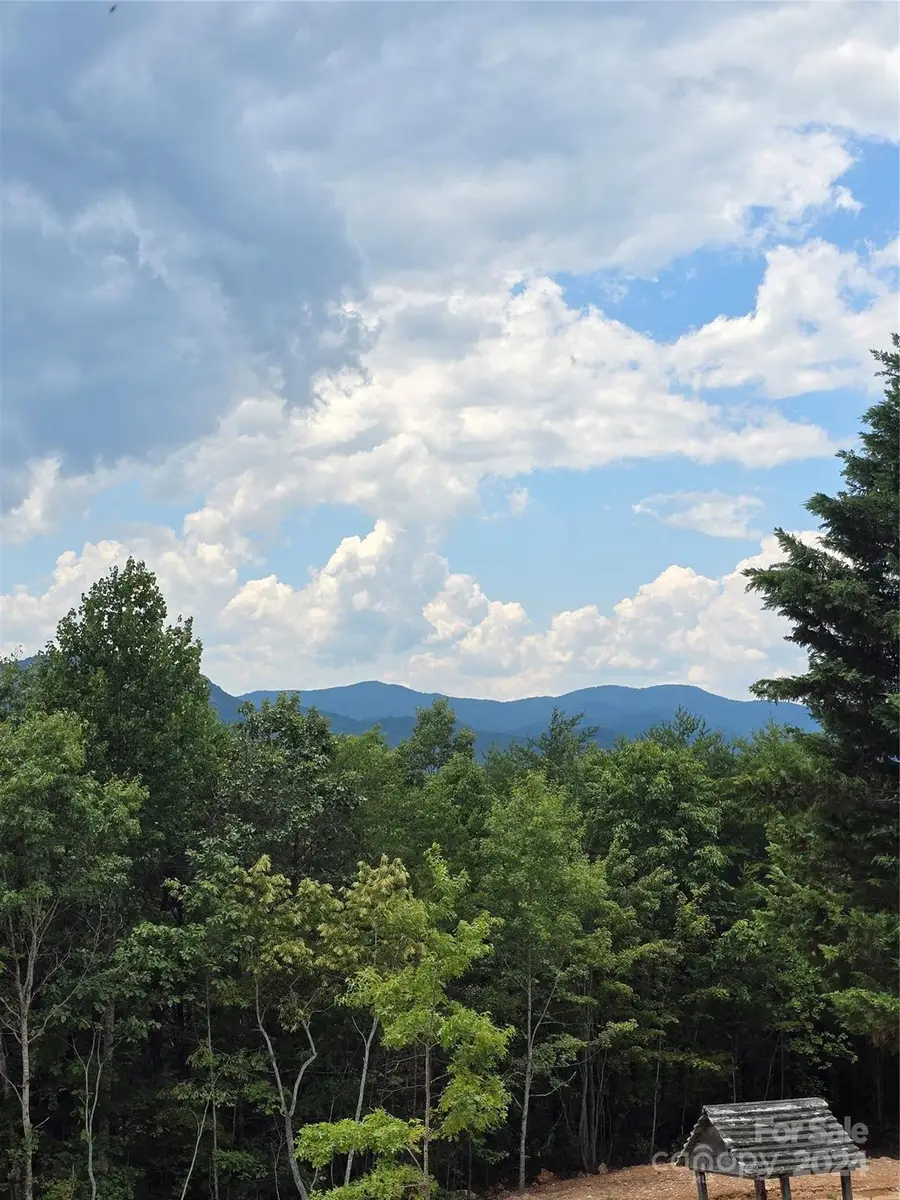 290 Boland Drive, Lake Lure, NC 28746 - Image #3