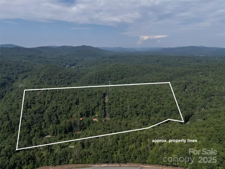 1084 Old Howard Gap Road, Saluda, NC 28773 - Image #2