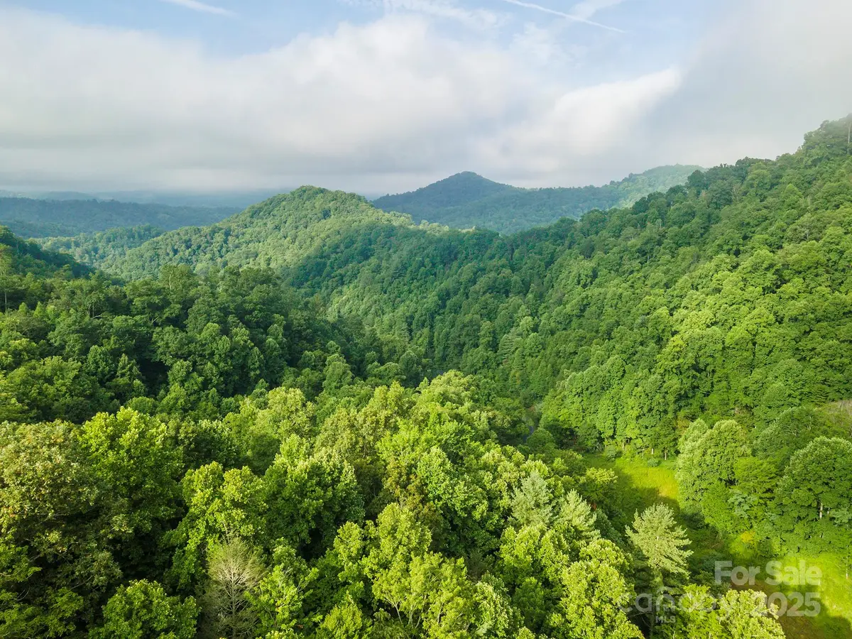 99999 Renfro Road, Green Mountain, NC 28740 - Image #1