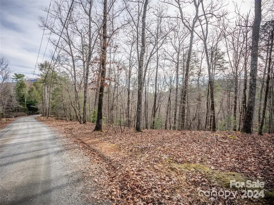 163 Pheasant Street #163, Lake Lure, NC 28746 - Image #3