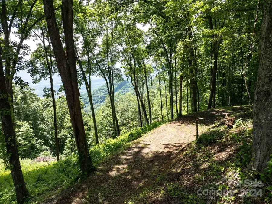 #54 Sleepy Hollow Drive, Waynesville, NC 28785 - Image #3