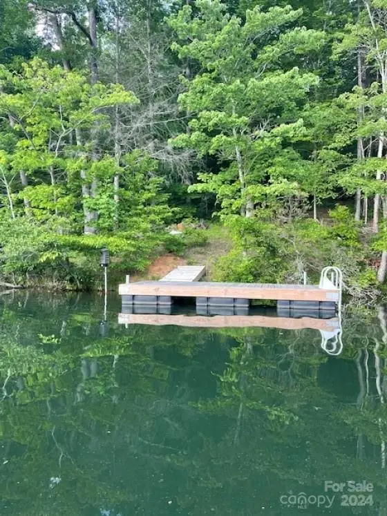 1733 Buffalo Creek Road, Lake Lure, NC 28746 - Image #3