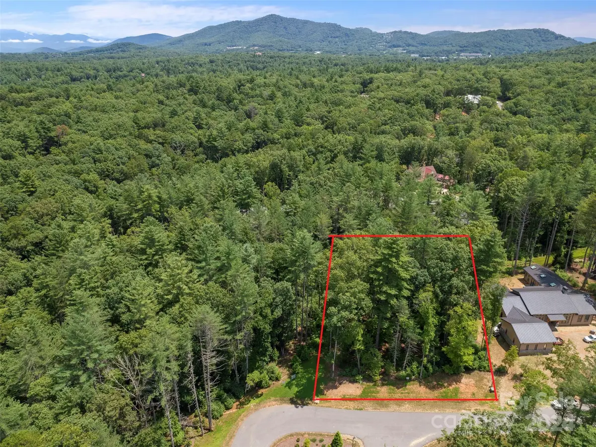 323 Flowering Vine Court #617, Asheville, NC 28803 - Image #1