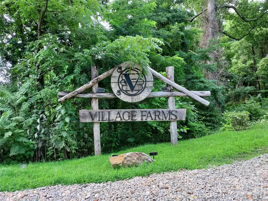 243 Starling Pass, Asheville, NC 28804 - Image #3