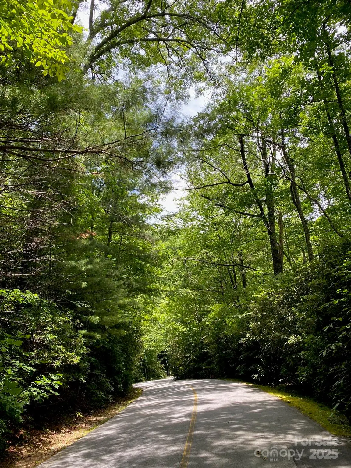 115 Hickory Drive, Sapphire, NC 28774 - Image #1