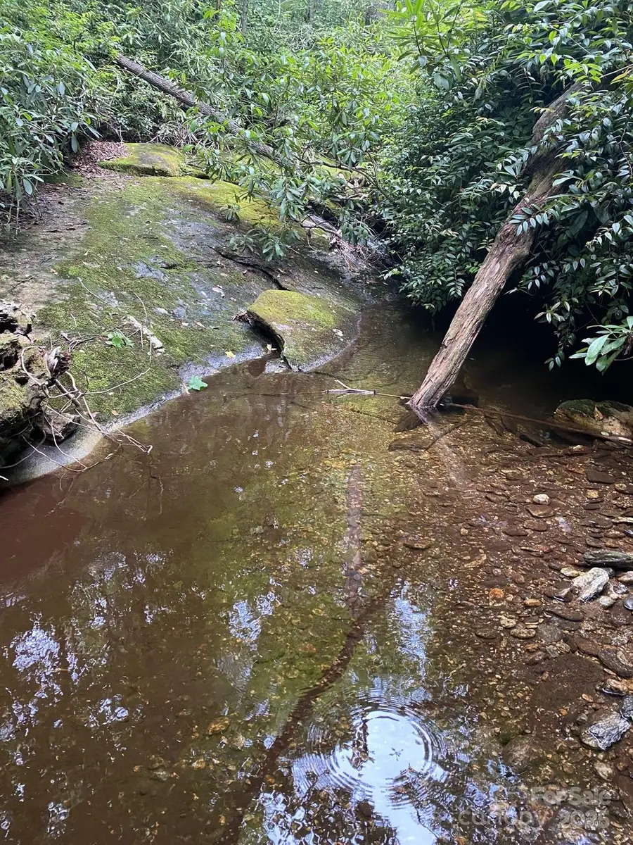 115 Hickory Drive, Sapphire, NC 28774 - Image #2