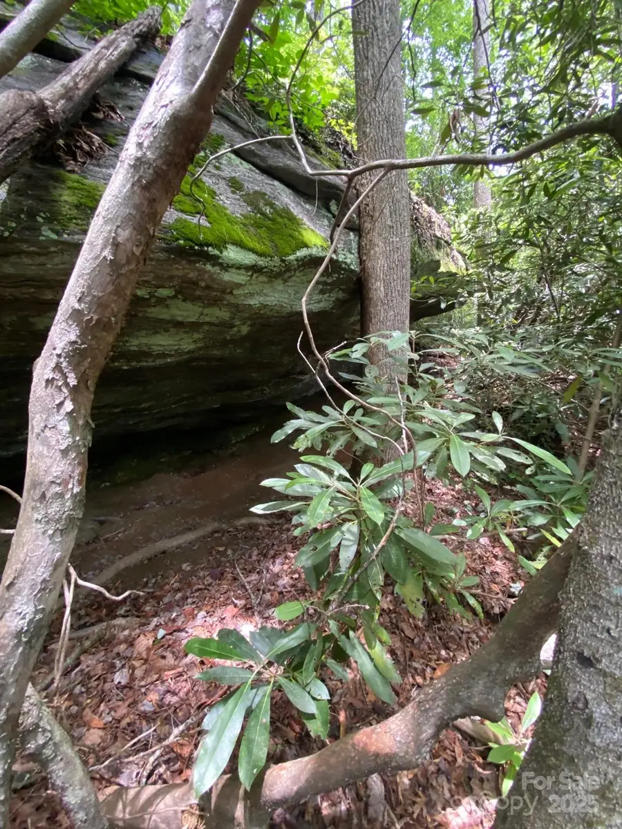 115 Hickory Drive, Sapphire, NC 28774 - Image #3