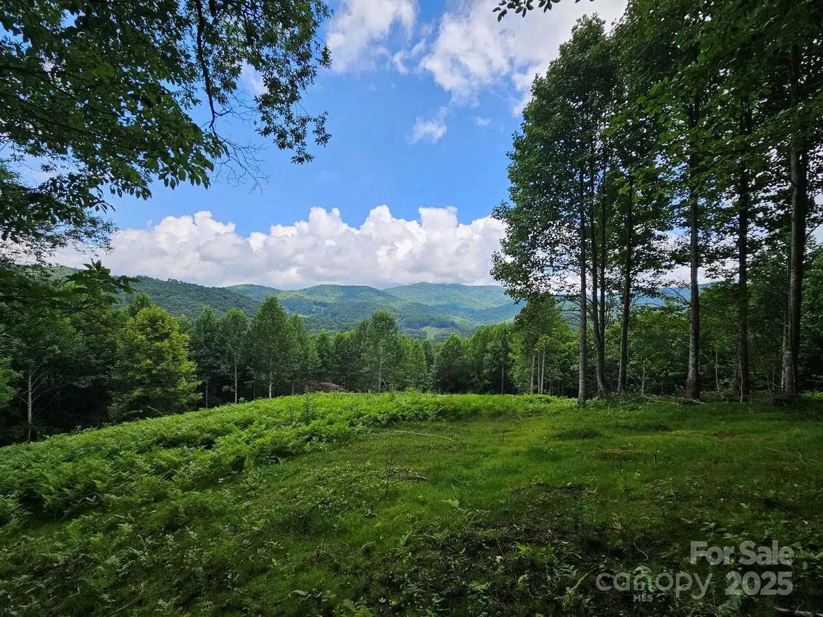 TBD Smith Creek Road, Mars Hill, NC 28754 - Image #1
