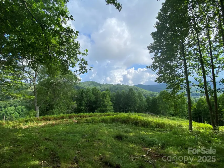 TBD Smith Creek Road, Mars Hill, NC 28754 - Image #2
