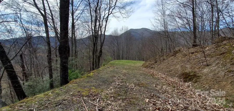 9999 Sunset Falls Drive, Crabtree, NC 28716 - Image #2