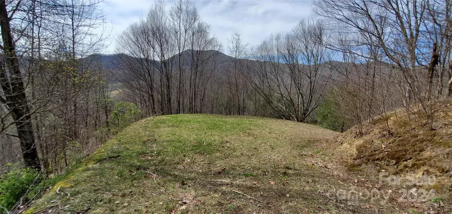 9999 Sunset Falls Drive, Crabtree, NC 28716 - Image #3