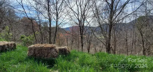 9999 Sunset Falls Drive, Clyde, NC 28716