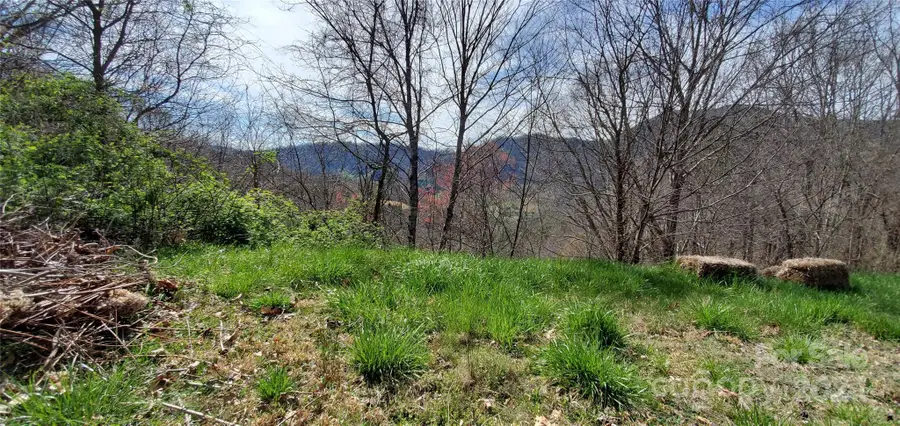 9999 Sunset Falls Drive, Crabtree, NC 28716 - Image #2