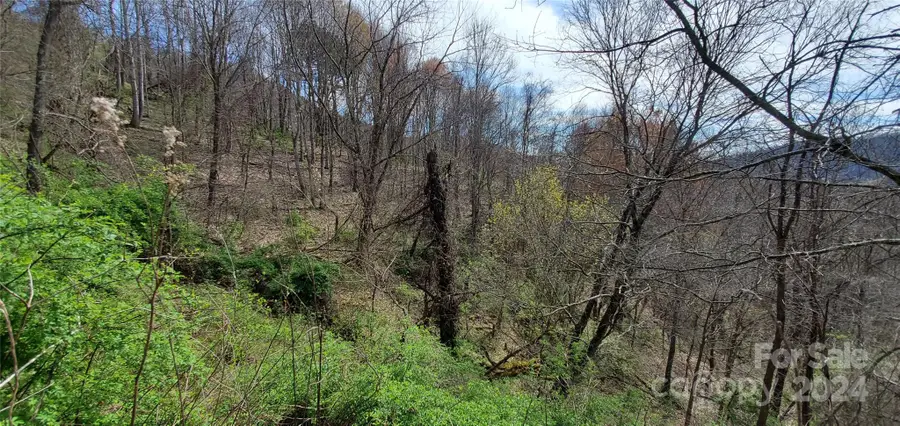 9999 Sunset Falls Drive, Crabtree, NC 28716 - Image #3