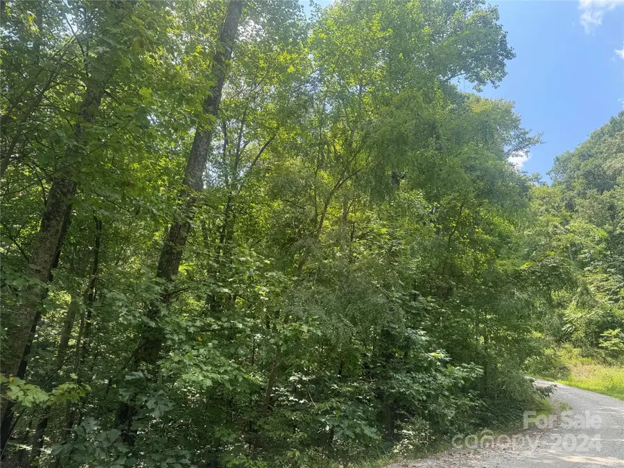 177 Peartree Drive, Lake Lure, NC 28746 - Image #2