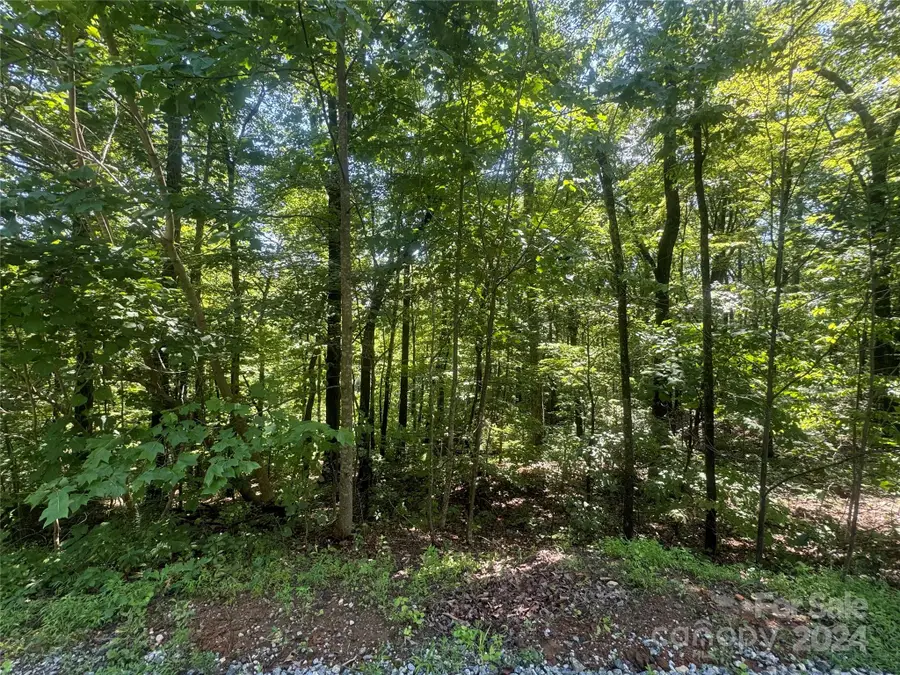 177 Peartree Drive, Lake Lure, NC 28746 - Image #3