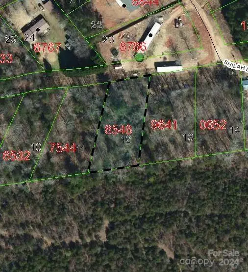 TBD Biggerstaff Loop #lot 12, Nebo, NC 28761