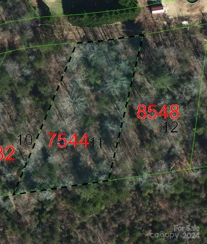 TBD Biggerstaff Loop #lot 11, Nebo, NC 28761 - Image #1