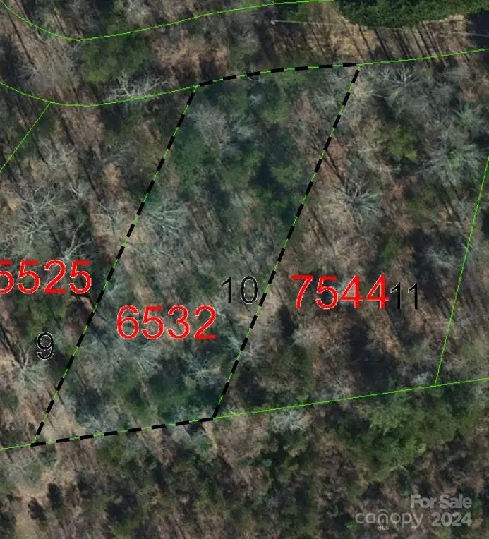 TBD Biggerstaff Loop #lot 10, Nebo, NC 28761 - Image #1