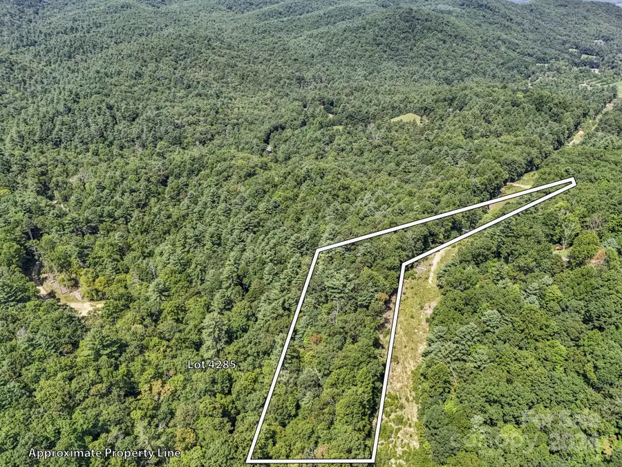 SR1196-A Evans Road, Hendersonville, NC 28739 - Image #2