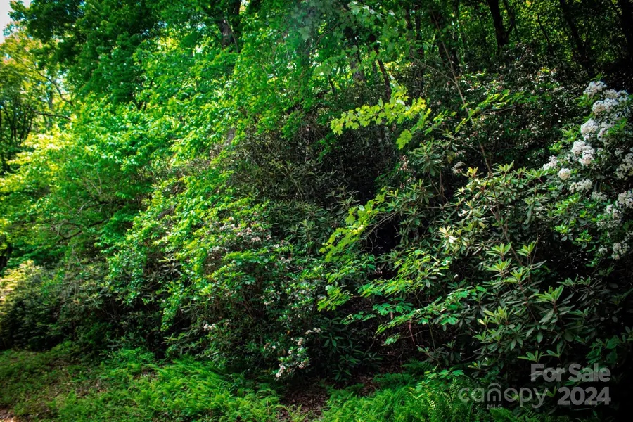 TBD Fox Den Road #Lot 57&59, Brevard, NC 28712 - Image #2