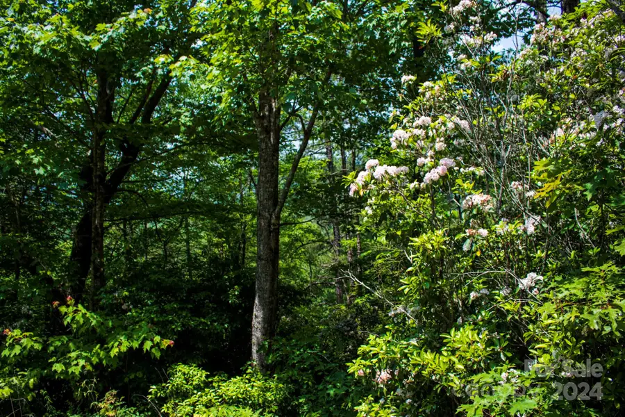 TBD Fox Den Road #Lot 57&59, Brevard, NC 28712 - Image #3