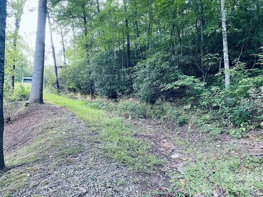 3 Rock And Roll Lane, Sylva, NC 28779 - Image #3