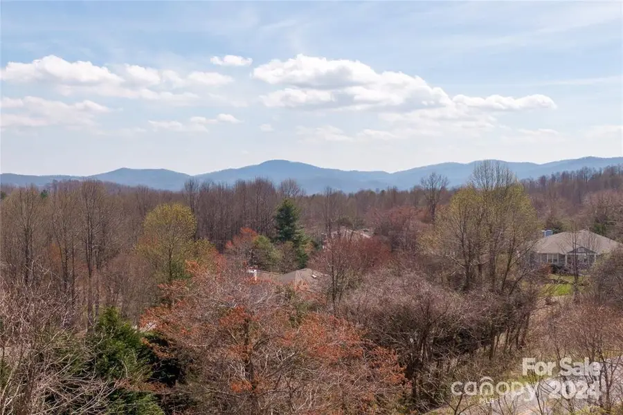 000 Berry Creek Drive, Flat Rock, NC 28731 - Image #3