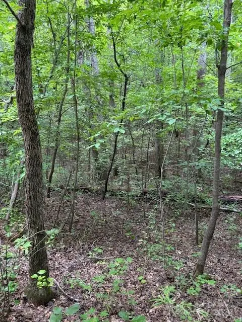 00 Timber Road, Iron Station, NC 28080 - Image #2