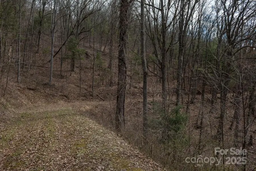 999 Falconwood Lane #20 and 21, Asheville, NC 28804 - Image #3