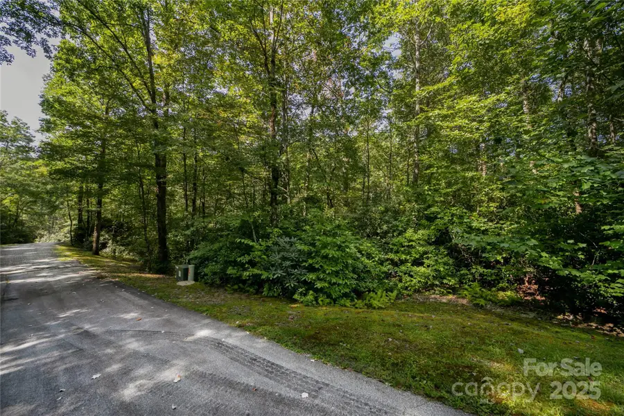 Lot 7 Sweetwater Ridge Road #7, Balsam Grove, NC 28708 - Image #2