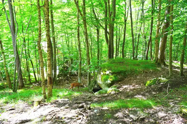 153 Hornbeam Road #115-B, Beech Mountain, NC 28604