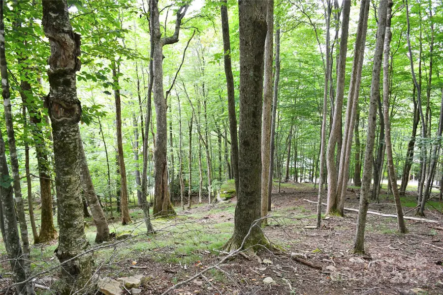 153 Hornbeam Road #115-B, Beech Mountain, NC 28604 - Image #2