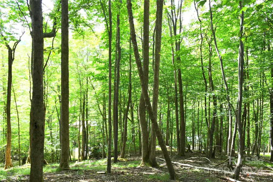 153 Hornbeam Road #115-B, Beech Mountain, NC 28604 - Image #3