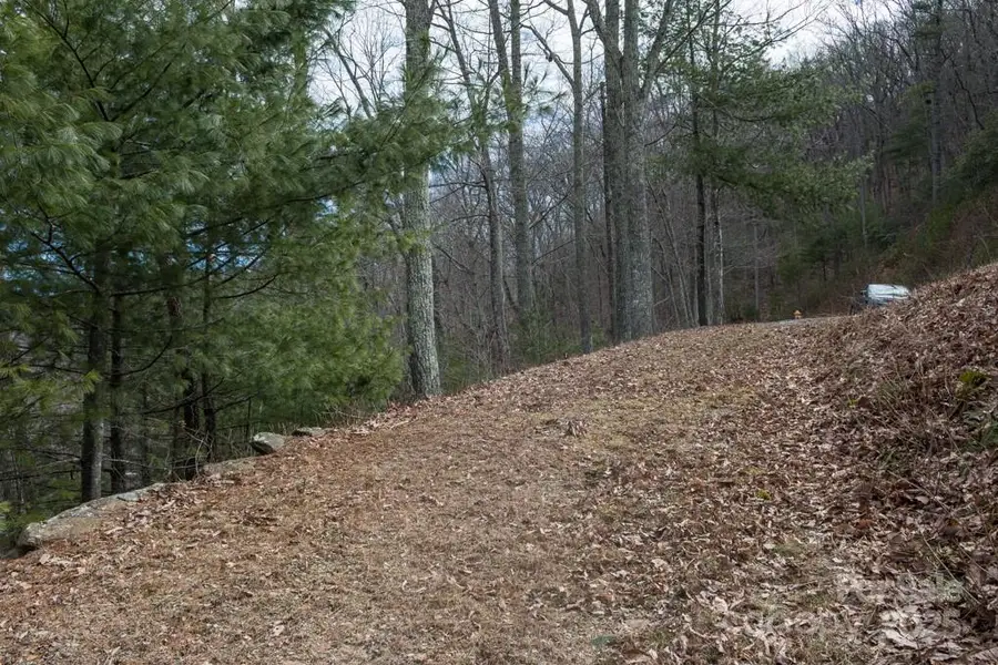 999 Falconwood Lane #25, Asheville, NC 28804 - Image #3