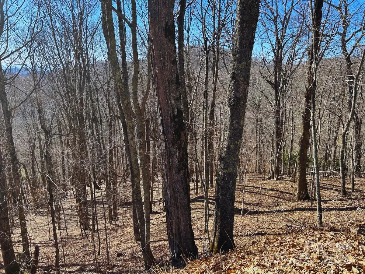 692 Oak Ridge Lane #61-Lot-A, Mars Hill, NC 28754 - Image #1