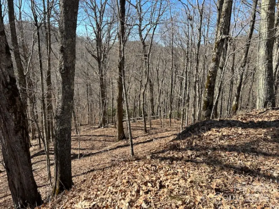 692 Oak Ridge Lane #61-Lot-A, Mars Hill, NC 28754 - Image #2