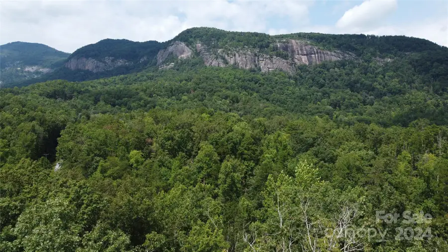 0 Mintwood Court #12, Lake Lure, NC 28746 - Image #3