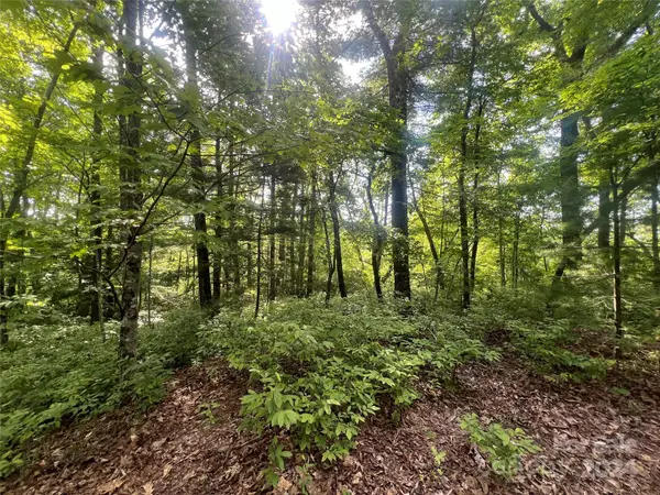 000 Laurel Thicket Lane, Brevard, NC 28712
