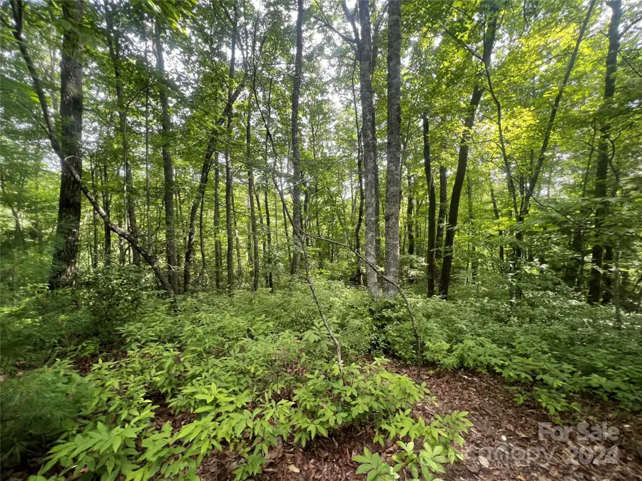 000 Laurel Thicket Lane, Brevard, NC 28712 - Image #2