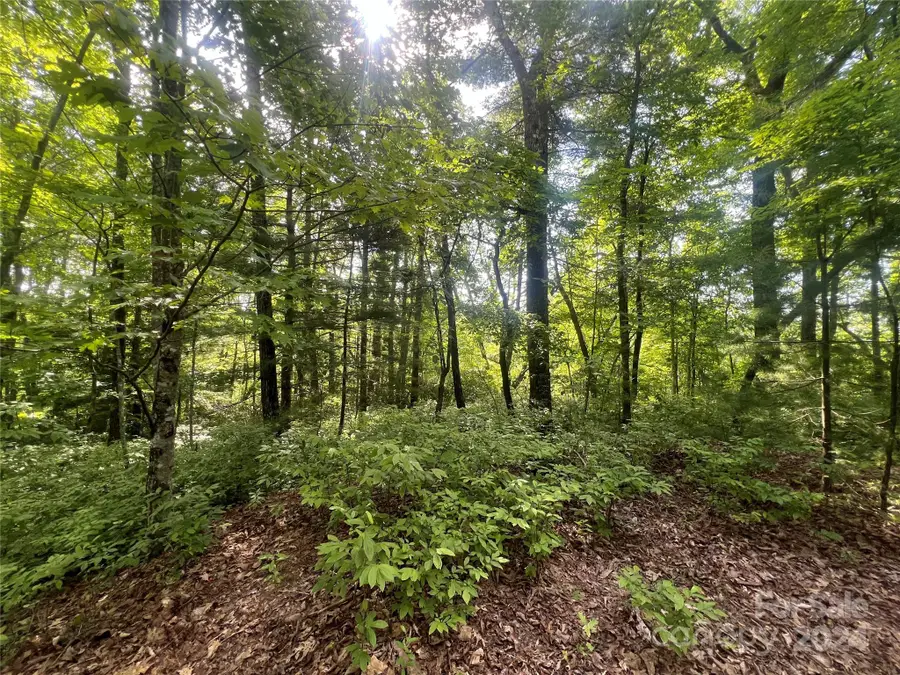 000 Laurel Thicket Lane, Brevard, NC 28712 - Image #3