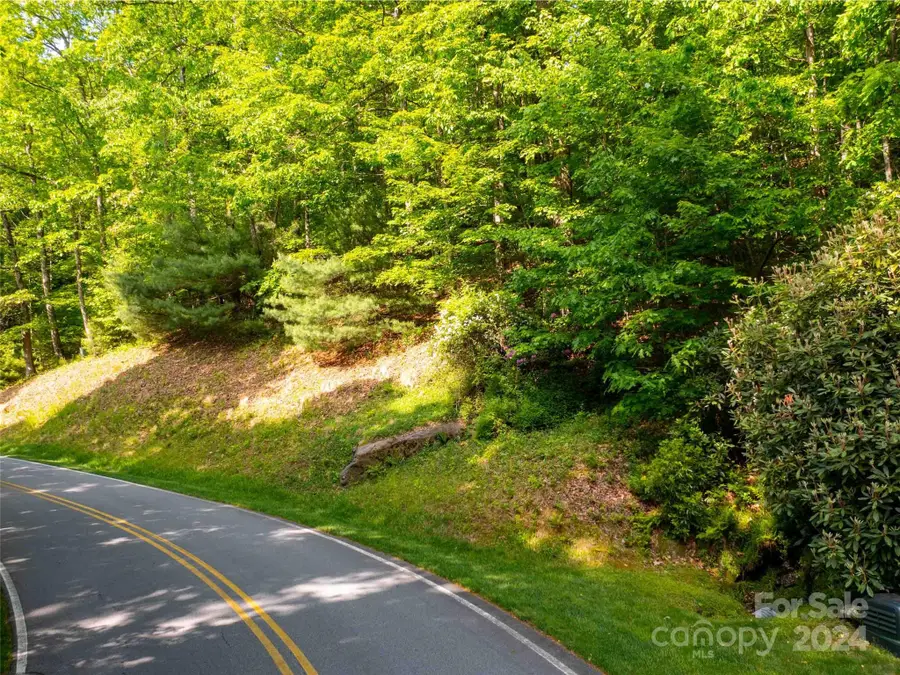 166 Chattooga Run #293, Hendersonville, NC 28739 - Image #3