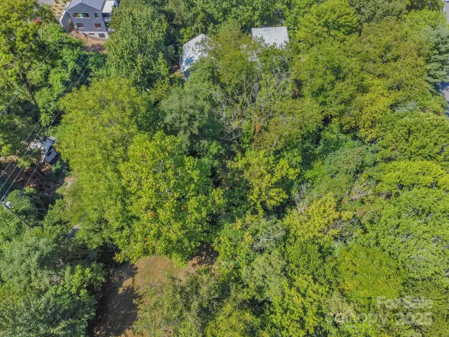 5 Club Street, Asheville, NC 28801 - Image #3