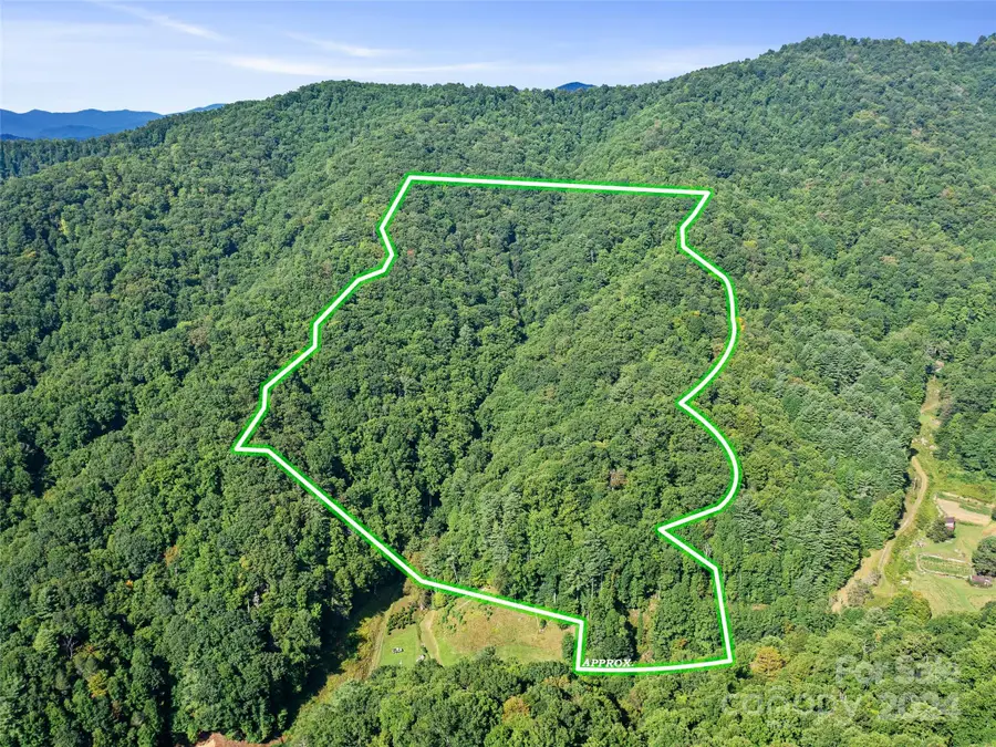 000 Byrd Creek Road, Green Mountain, NC 28740 - Image #3