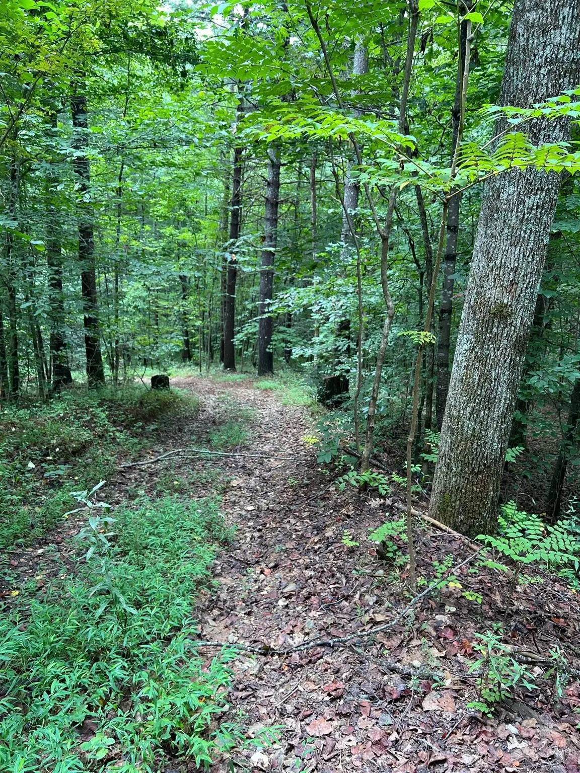 645 Tunnel Road #157 & 158, Marion, NC 28752 - Image #1