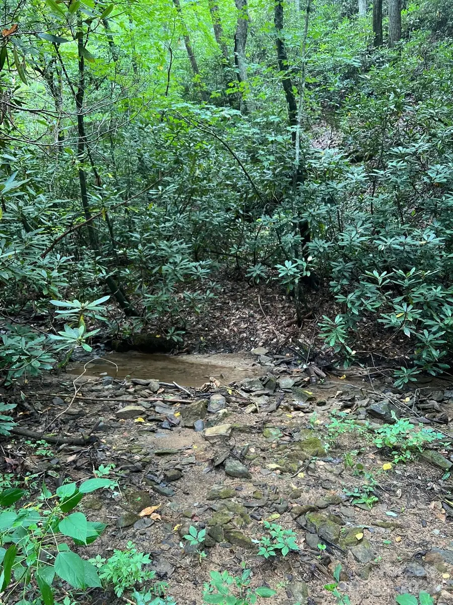 645 Tunnel Road #157 & 158, Marion, NC 28752 - Image #3