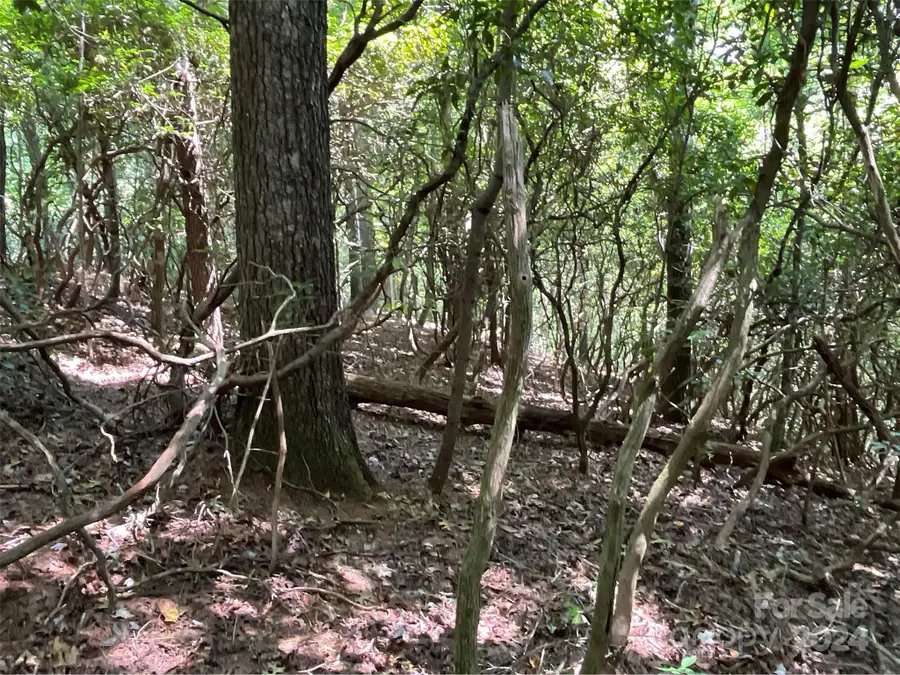 9999 Erwin Hill Drive, Etowah, NC 28792 - Image #2