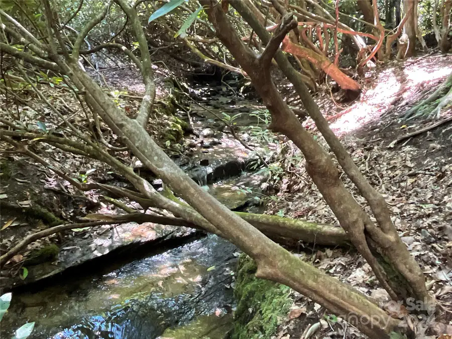 9999 Erwin Hill Drive, Etowah, NC 28792 - Image #3